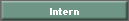 Intern